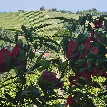 Agroturism Jures Villa Ljutomer Kültér fotó