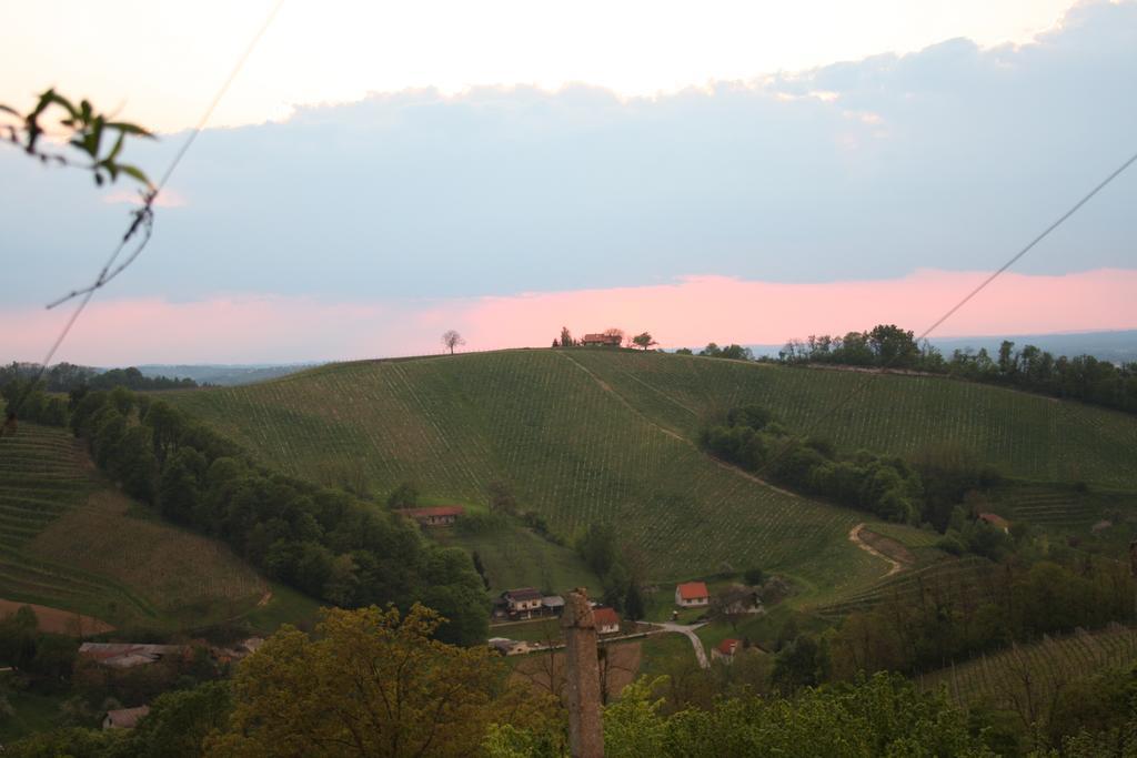 Agroturism Jures Villa Ljutomer Kültér fotó