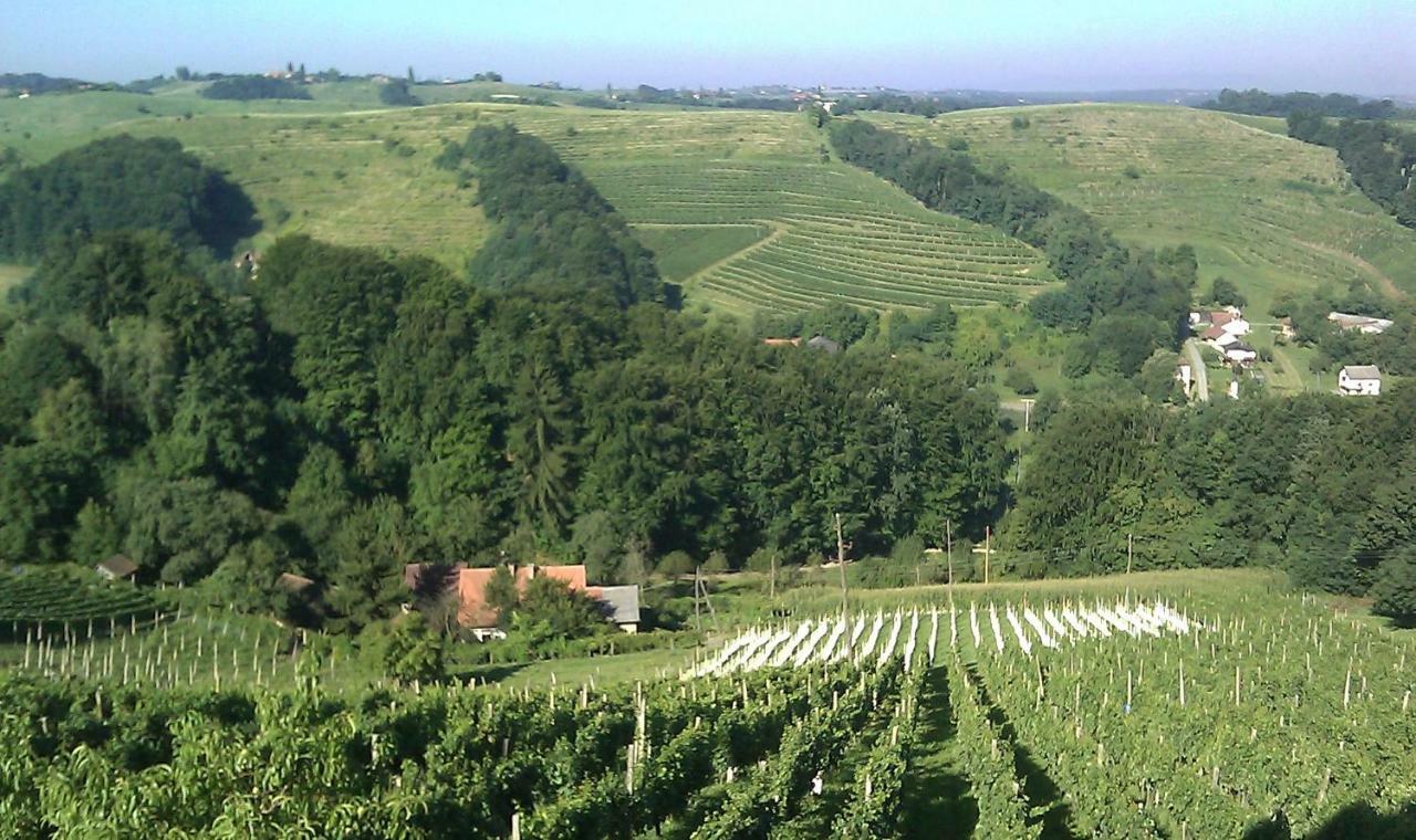Agroturism Jures Villa Ljutomer Kültér fotó